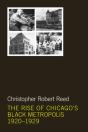 The Rise Of Chicago'S Black Metropolis, 1920-1929 - Preview