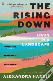 Capa do artigo The Rising Down