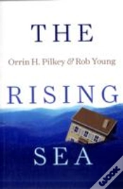 Capa do artigo The Rising Sea
