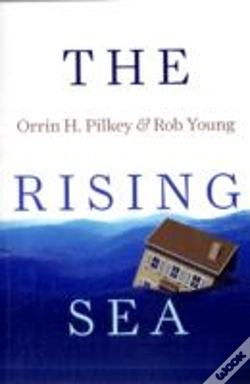 Capa do artigo The Rising Sea