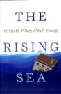 The Rising Sea - Preview