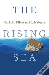 The Rising Sea