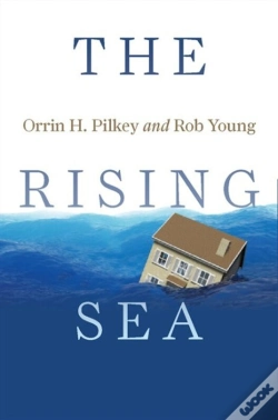 Capa do artigo The Rising Sea