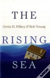 The Rising Sea