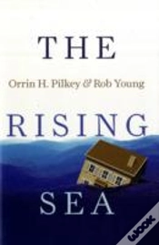 Capa do artigo The Rising Sea
