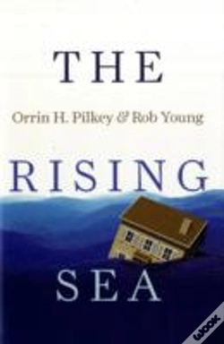 Capa do artigo The Rising Sea