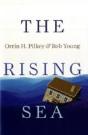 The Rising Sea - Preview