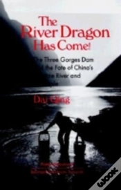Capa do artigo The River Dragon Has Come!