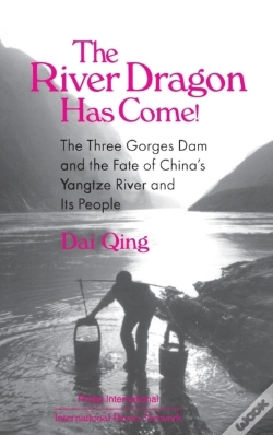 Capa do artigo The River Dragon Has Come!