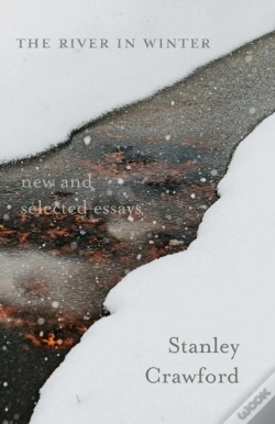 Capa do artigo The River In Winter