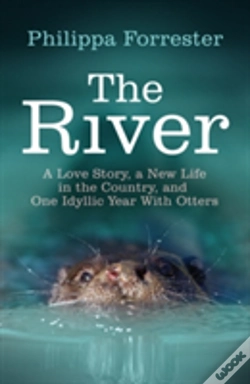 Capa do artigo The River