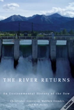 Capa do artigo The River Returns