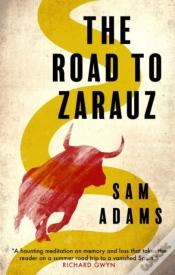 Capa do artigo The Road To Zarauz