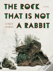 Capa do artigo The Rock That Is Not A Rabbit