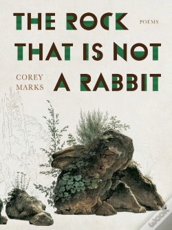 Capa do artigo The Rock That Is Not A Rabbit