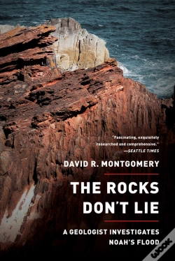 Capa do artigo The Rocks Don'T Lie