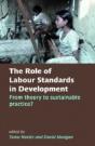 The Role Of Labour Standards In Development - Preview