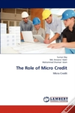 Capa do artigo The Role Of Micro Credit