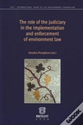 The Role Of The Judiciary In The Implementation And Enforcement Of Environment Law