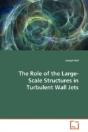 The Role Of The Large-Scale Structures I - Preview