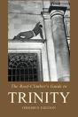 The Roof-Climber'S Guide To Trinity - Omnibus - Preview
