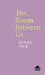 The Room Between Us - Preview