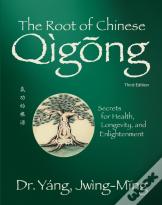 The Root Of Chinese Qigong