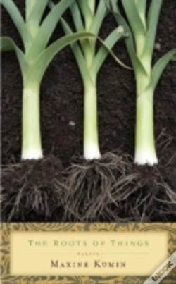 Capa do artigo The Roots Of Things