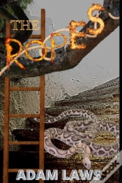 Capa do artigo The Ropes