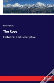 Capa do artigo The Rose