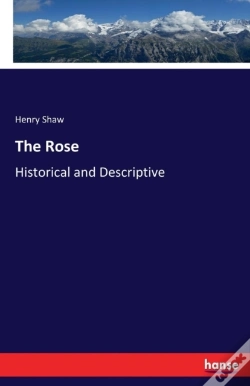 Capa do artigo The Rose