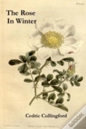 The Rose In Winter