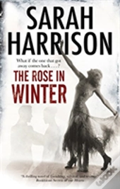 The Rose In Winter