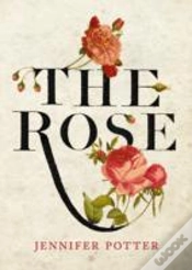 Capa do artigo The Rose