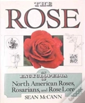 Capa do artigo The Rose