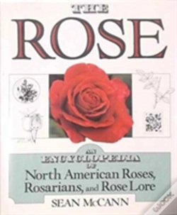 Capa do artigo The Rose