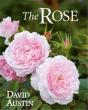 The Rose Second Edition /Anglais - Preview