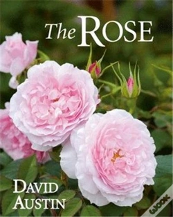 Capa do artigo The Rose Second Edition /Anglais