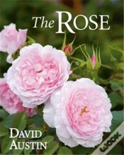 Capa do artigo The Rose Second Edition /Anglais