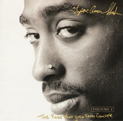 Capa do artigo The Rose That Grew From Concrete Volume 1 - CD