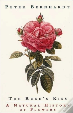 Capa do artigo The Rose'S Kiss
