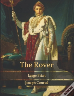Capa do artigo The Rover