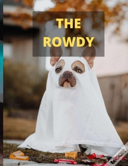 Capa do artigo The Rowdy