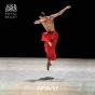 The Royal Ballet 2016/17 - Preview