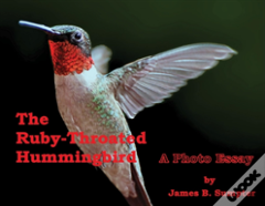 The Ruby-Throated Hummingbird