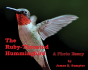 The Ruby-Throated Hummingbird - Preview