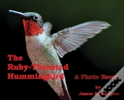 Capa do artigo The Ruby-Throated Hummingbird