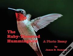 The Ruby-Throated Hummingbird