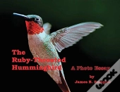 The Ruby-Throated Hummingbird