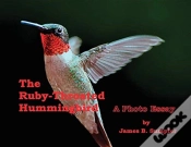 Capa do artigo The Ruby-Throated Hummingbird